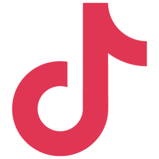 TikTok Icon